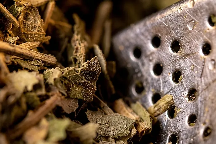 Hojas y palos de yerba en primer plano, apoyados contra la malla de un tamiz metálico.